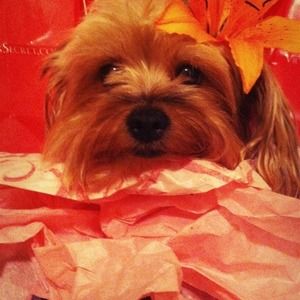 Meet your Posher, Mary n christopher